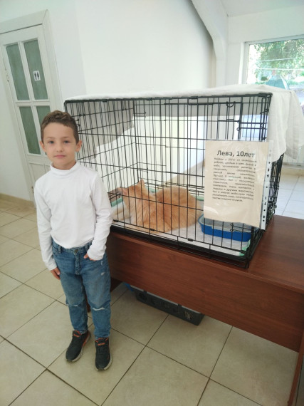 Обучающийся 1 класса стал победителем областной выставки домашних животных «Зверье мое».
