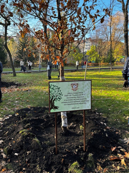 Обучающиеся гимназии организовали акцию по высадке деревьев в честь героев-земляков, выполняющих свой долг в зоне специальной военной операции.